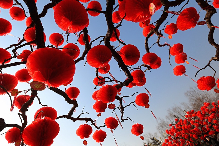 Chinese Lunar New Year 2013 - The Atlantic