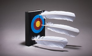 Feathers lodged in a book with a target painted on the cover.