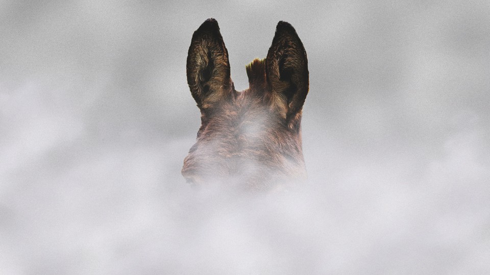 A photograph of the top of a brown donkey's head peeking out from a cloud of smoke