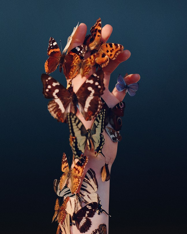 A hand covered in butterflies against a dark background