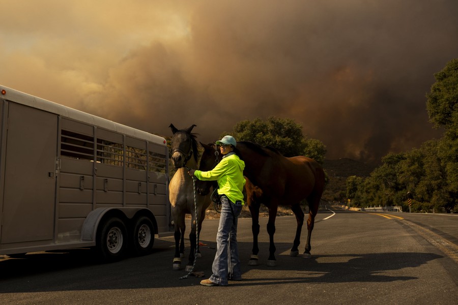 A person moves horses into a trailer as a wildfire approaches.