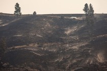 Charred and barren land in the aftermath of a wildfire