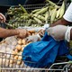 Two people's hands are seen reaching into a grocery cart full of potatoes, which stands next to another cart full of corn husks