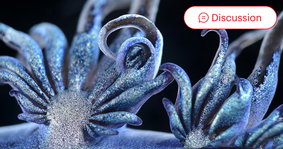 These Photographs Are Not What They Seem - The Atlantic