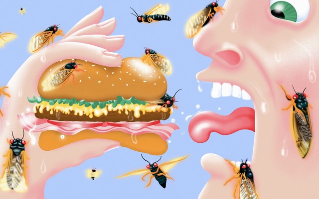 An illustration of a man about to eat a burger. Both he and the burger are covered in cicadas.