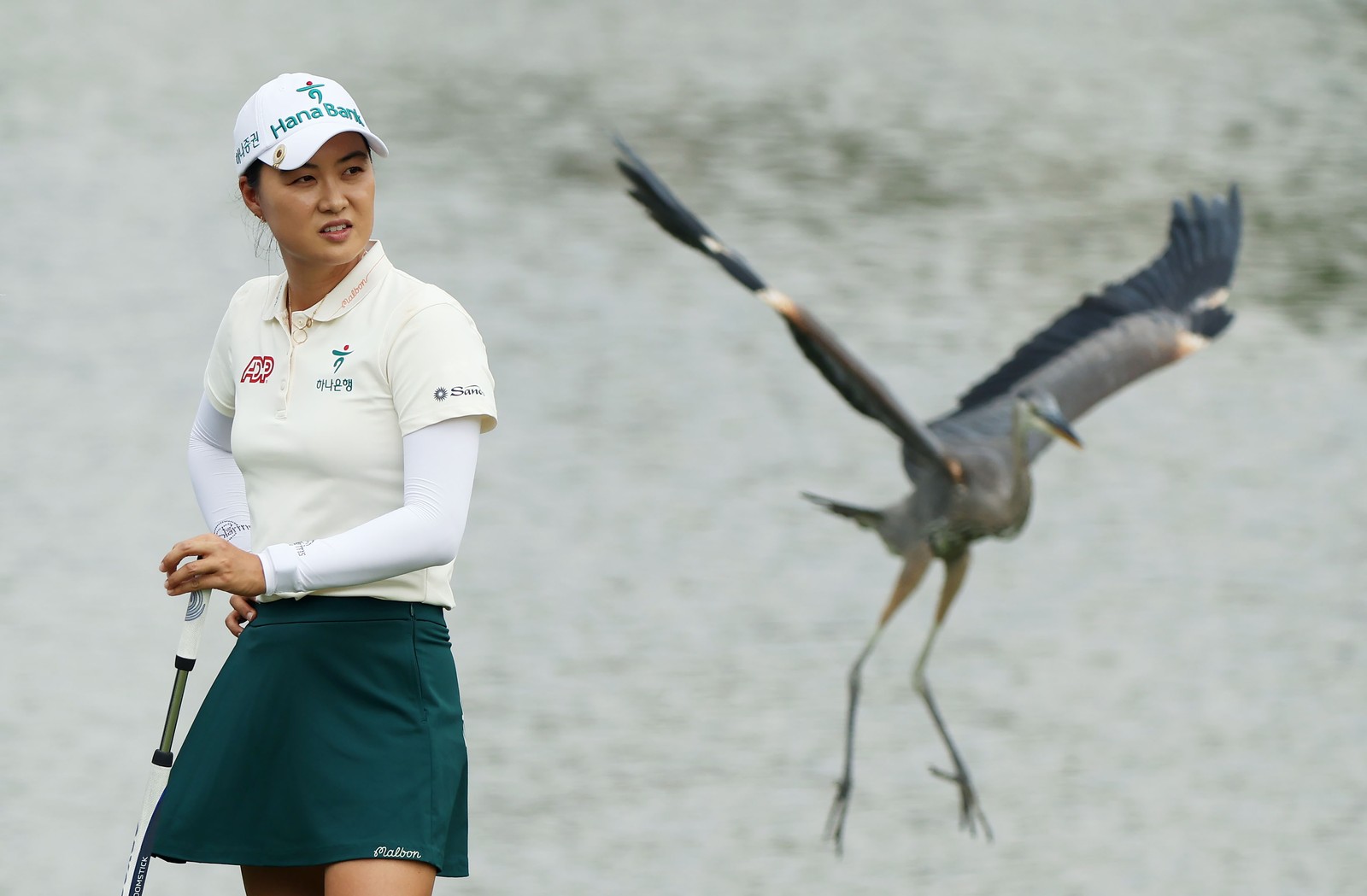 A heron takes flight, seen behind a golfer during a game.