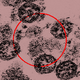 An image of a circle with viral particles.