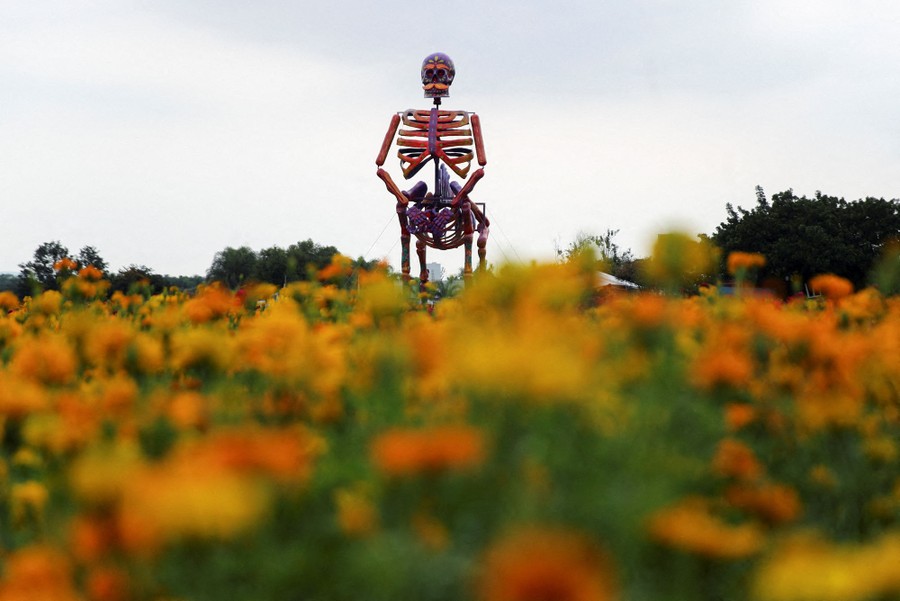 A giant skeleton figure stands in a marigold field.