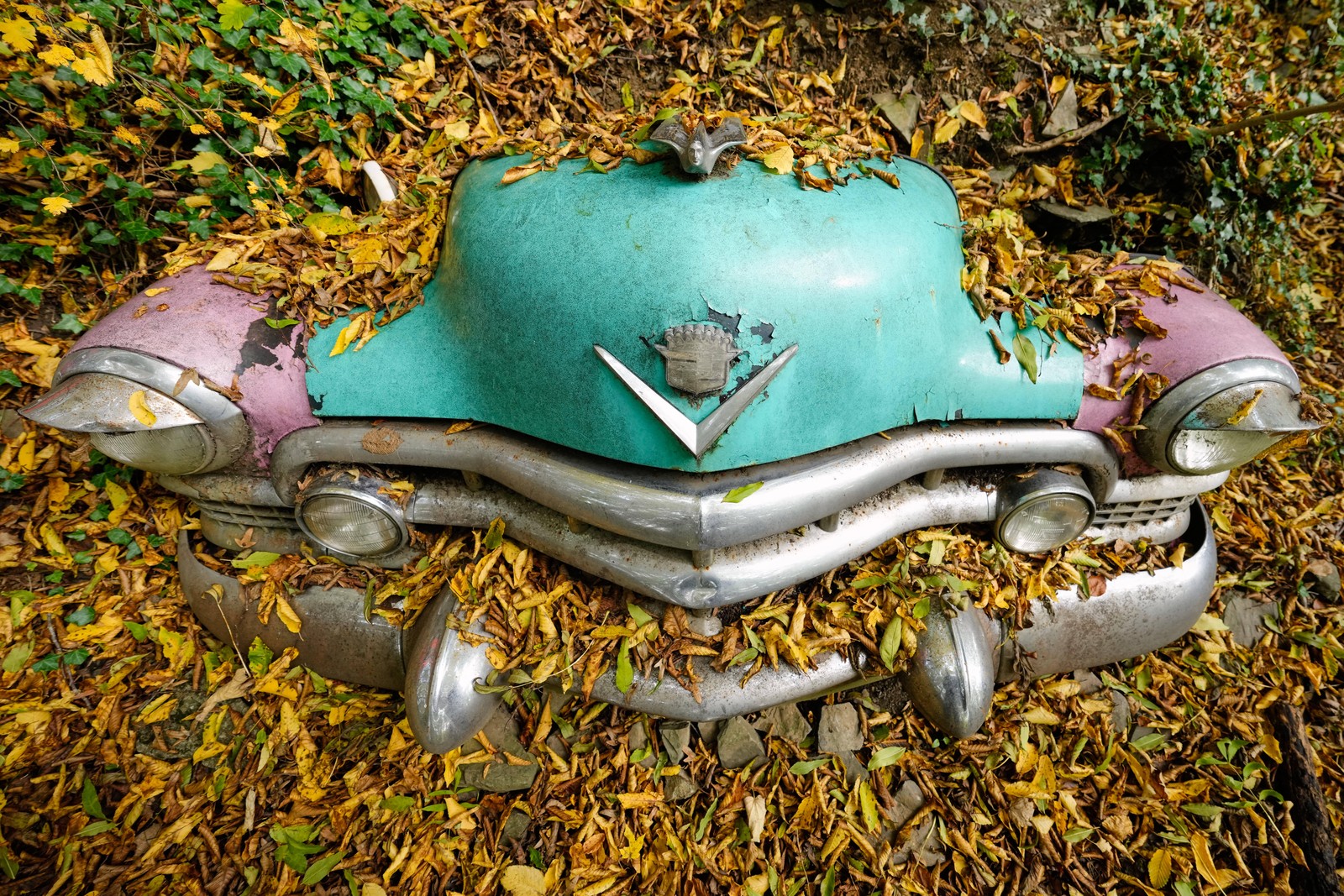 The front end of a Cadillac appear to emerge from the ground, covered by autumn leaves.