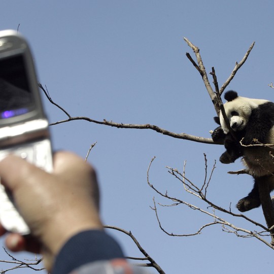 Finally: An App That Can Identify the Animal You Saw on Your ...