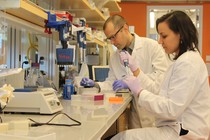 Yaniv Erlich and Dina Zielinski at work