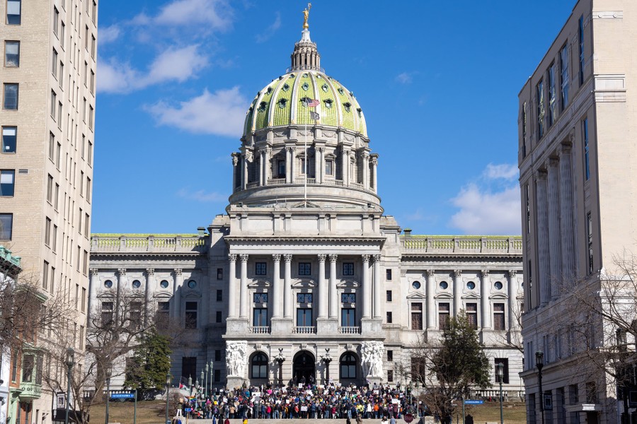 A group of protesters gathers on the steps of a state capitol building, seen from a distance.