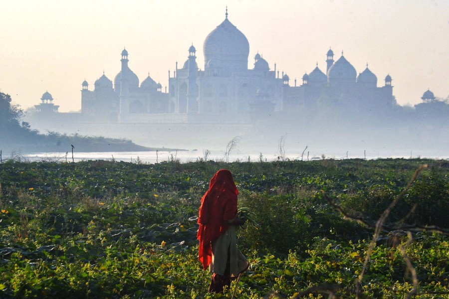 A person works in a field with the Taj Mahal visible in the background.