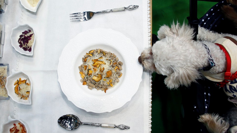 Wild Earth and the Origins of Vegan Pet Food The Atlantic