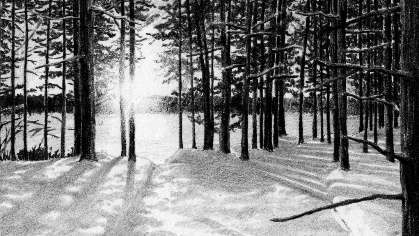 an illustration of a snowy forest, with a low sun breaking through a clearing in the trees