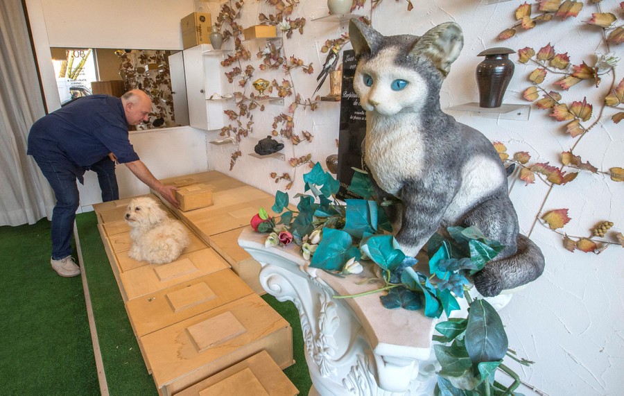 Animal store funeral home