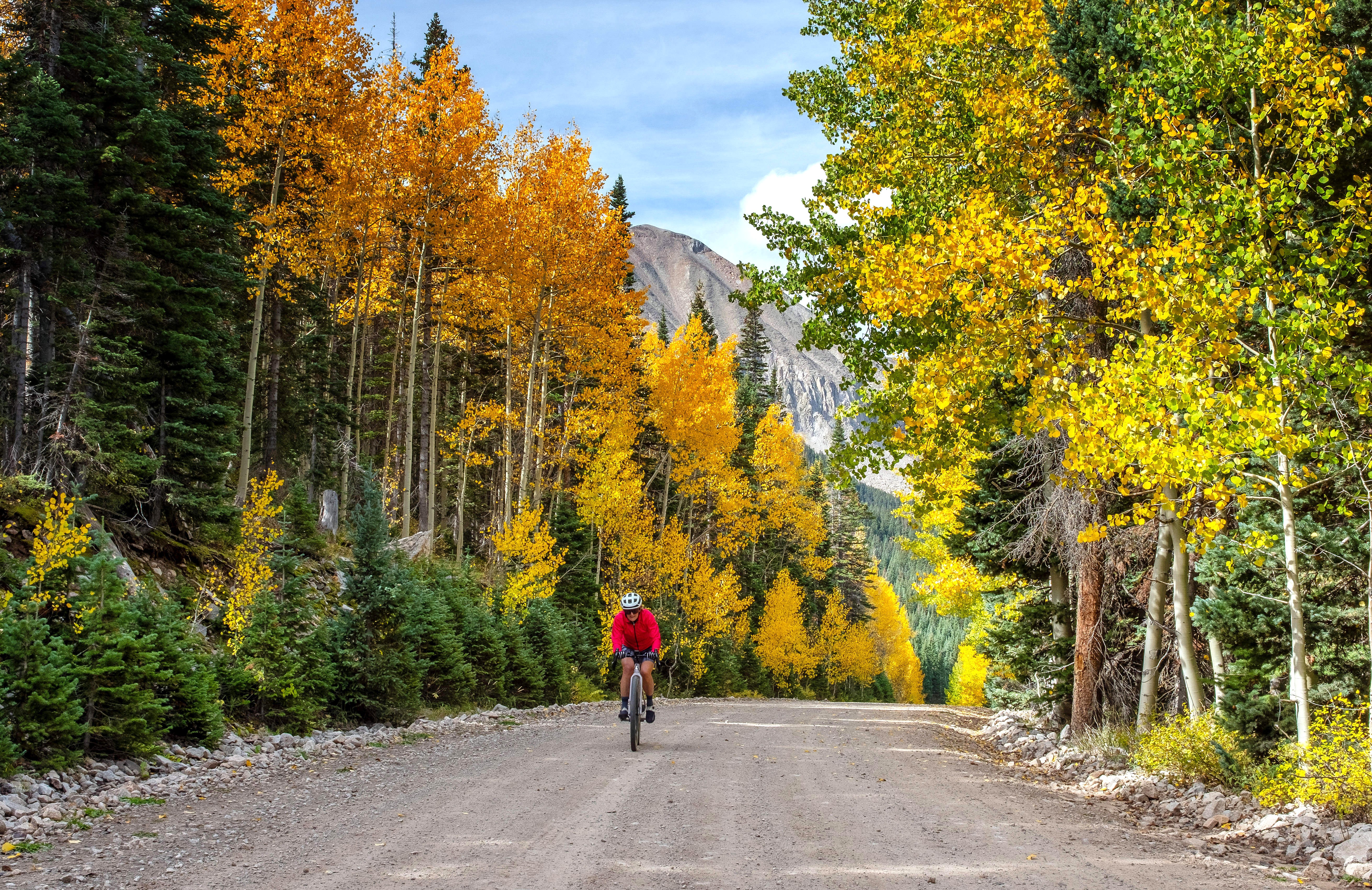 A cyclist rides on a broad mountain trail past trees in autumn colors.