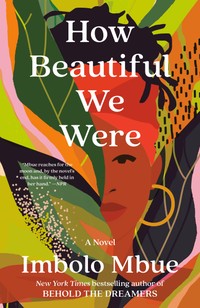 The cover of How Beautiful We Were