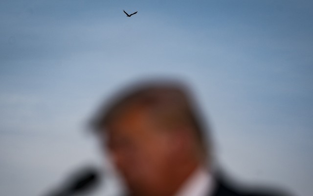 A blurred photograph of Trump speaking into a microphone in the foreground, with an eagle flying above him in the background.