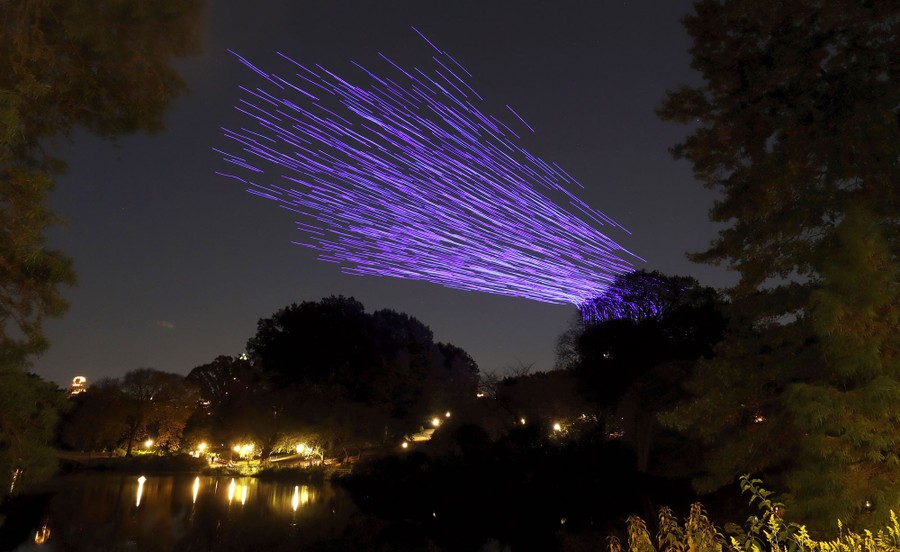Hundreds of light streaks fill part of the night sky above a park.