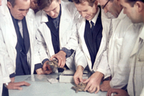 The turtles