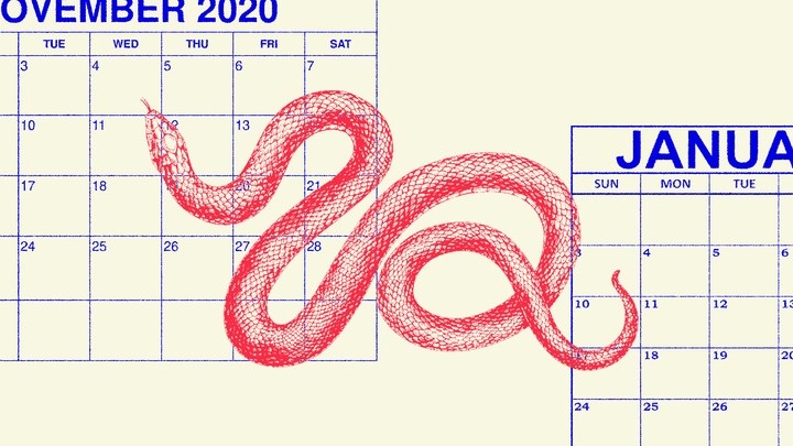 An illustration of a snake and the calendars for November 2020 and January 2021.
