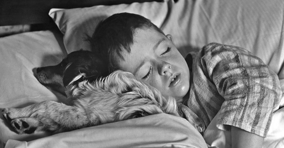 Trying To Fall Asleep Is Keeping You Awake The Atlantic