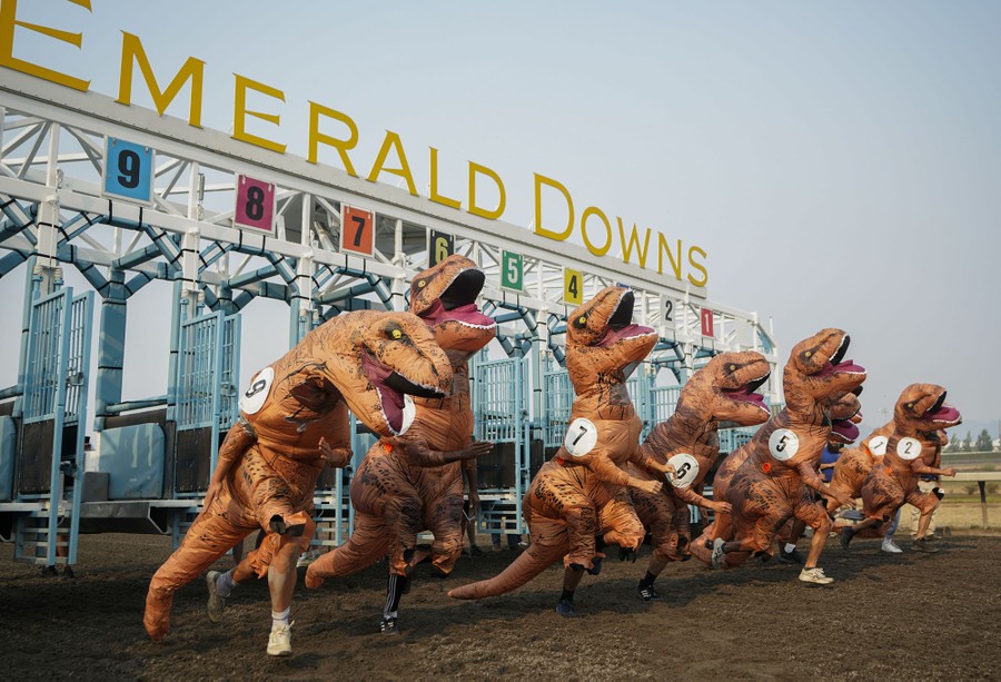 Nine people wearing inflatable dinosaur costumes start a footrace at a horse racetrack.