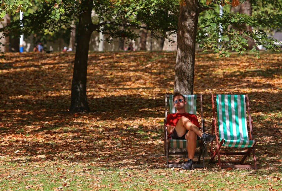 A man sits on a deck chair among brown fallen leaves in a park.