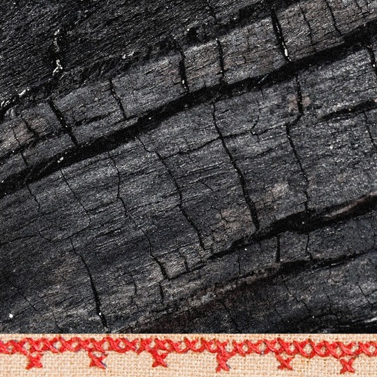 A Poem by Dara Yen Elerath: 'Fossil Record for My Grandmother