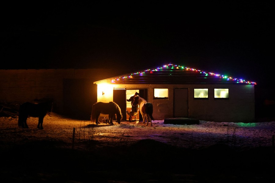 Several horses gather near a small building to feed at night.