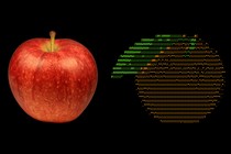 A photo of an apple and an ASCII image of an orange