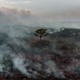 A lone tree stands among smoke in this aerial view of a forest fire in Porto Jofre, Mato Grosso state, Brazil, taken on September 5, 2021.