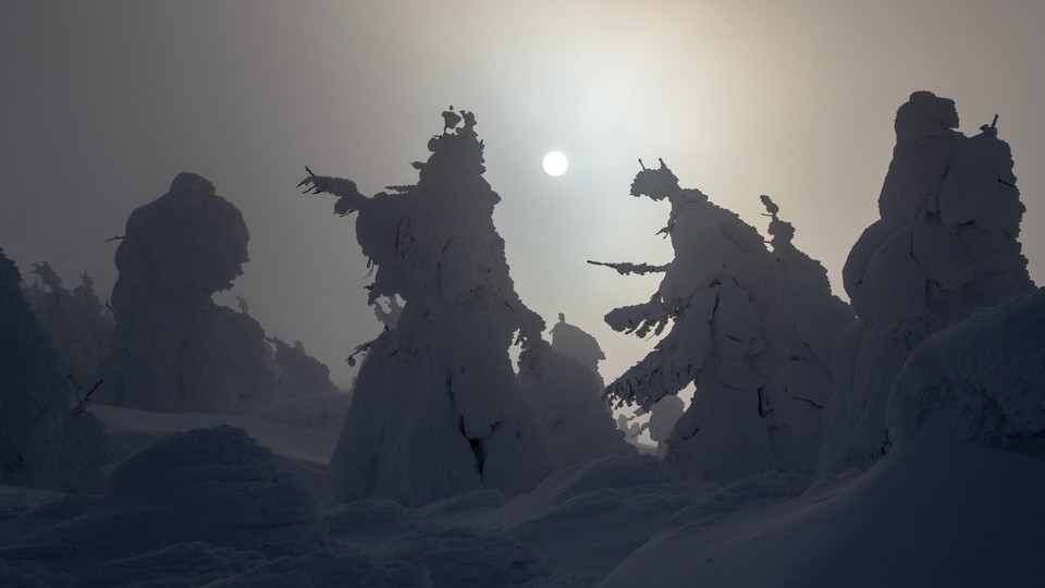 Snow-covered trees, nicknamed "snow monsters," are silhouetted by the sun at the summit of Mount Zao on January 19, 2019, near Yamagata, Japan.