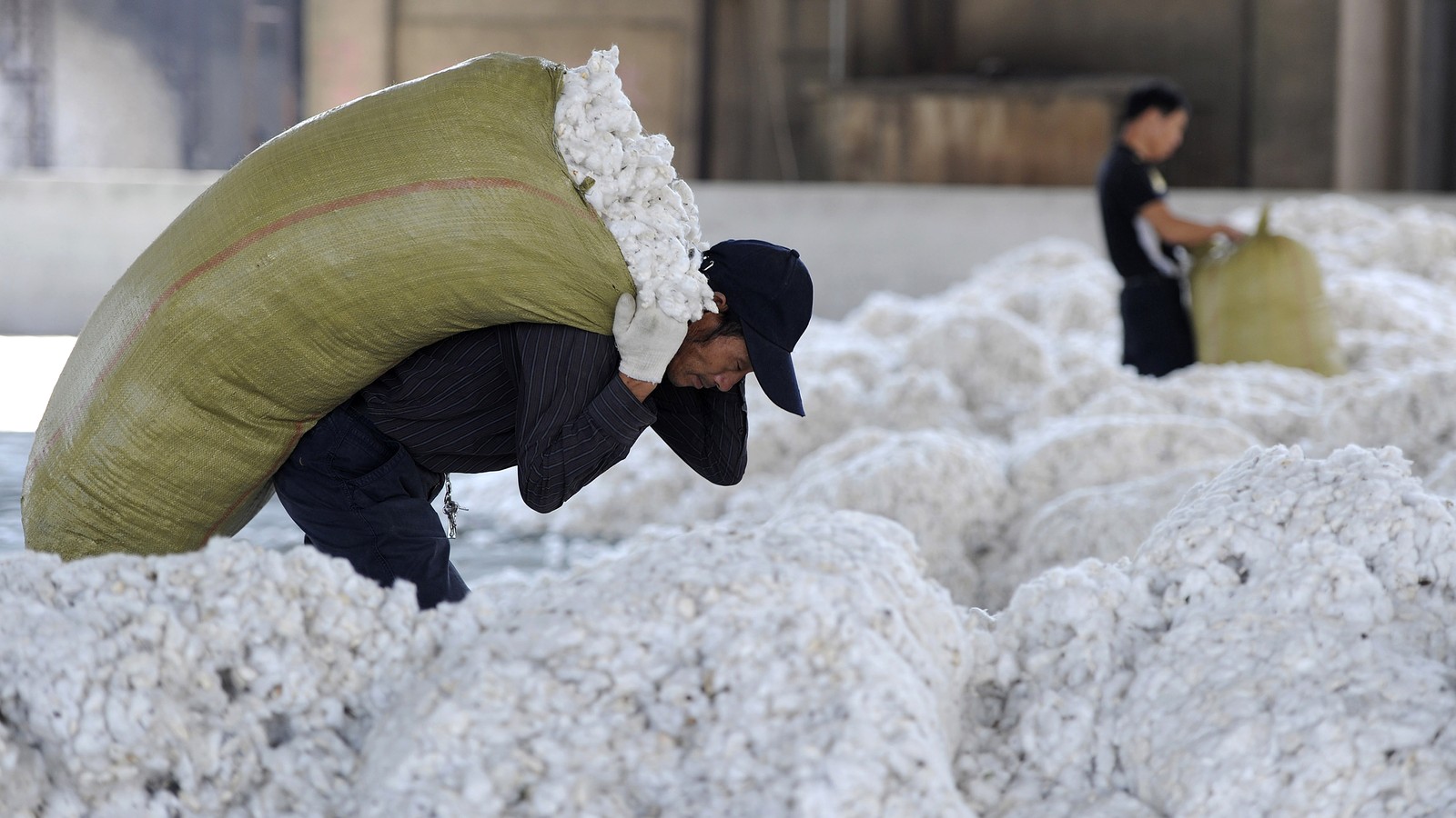 The Role Cotton Played in the 1800s Economy