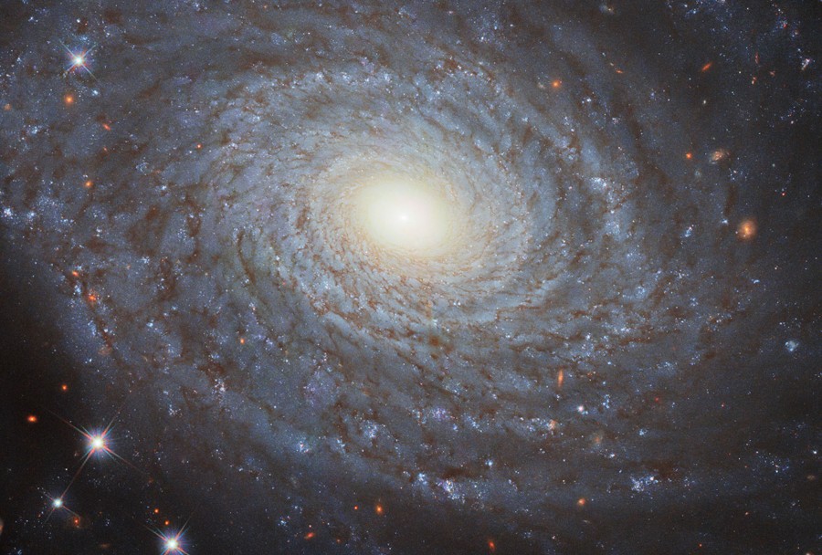 A tight shot of a spiral galaxy—whirling lanes of light, gas and dust spinning toward a bright center.