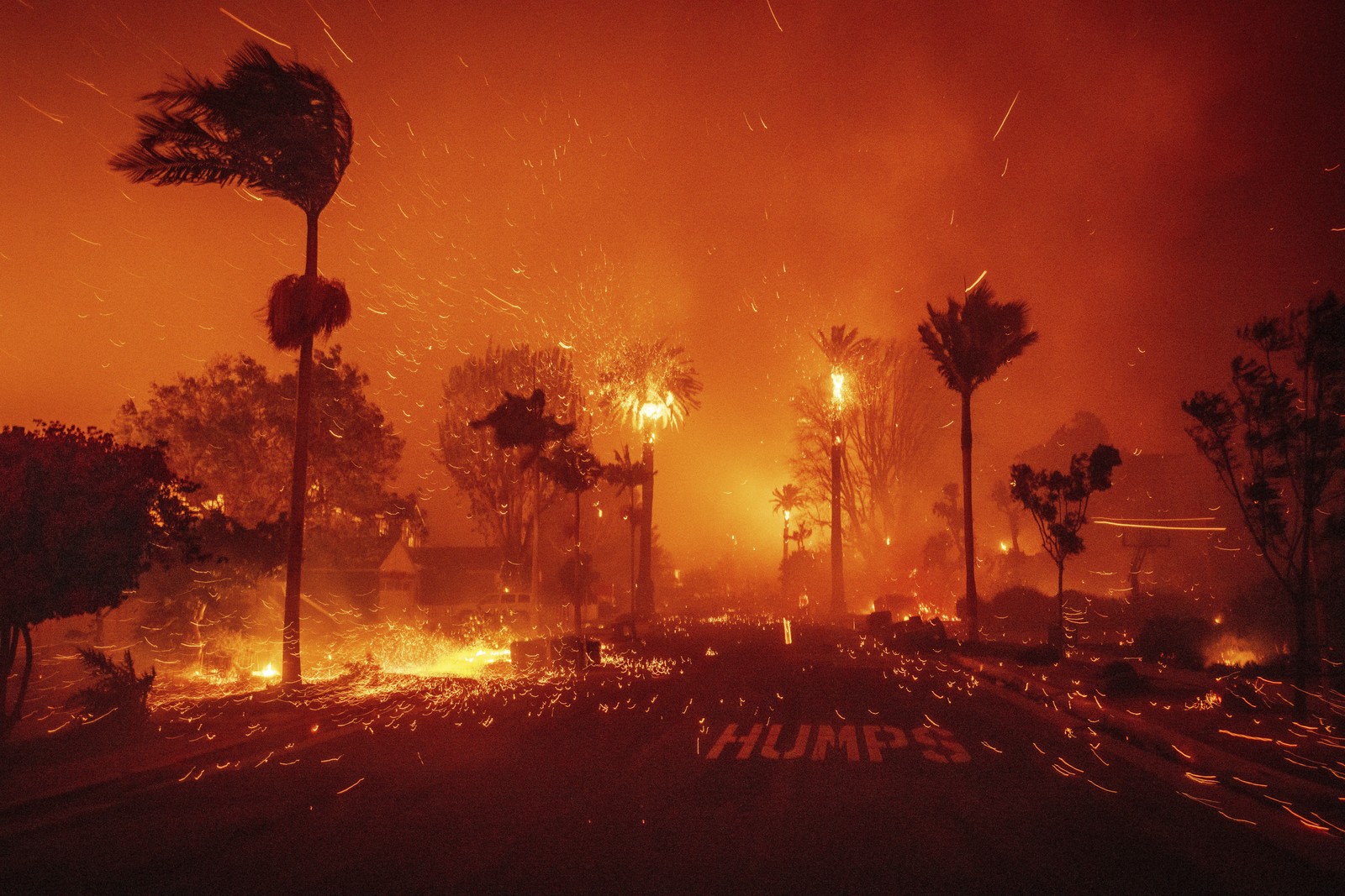 Flames and embers fly among palm trees and brush in a Los Angeles neighborhood, beneath a smoke-filled sky at night.