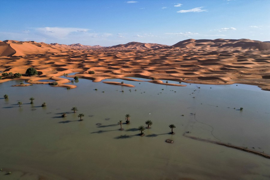 Sand dunes and palm trees partially covered by floodwater