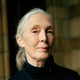a color photograph of Jane Goodall wearing a black turtleneck