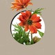 A flower peeking through a hole