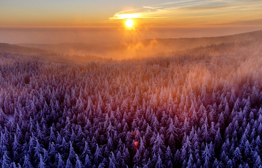 The sun rises over snow-covered trees.