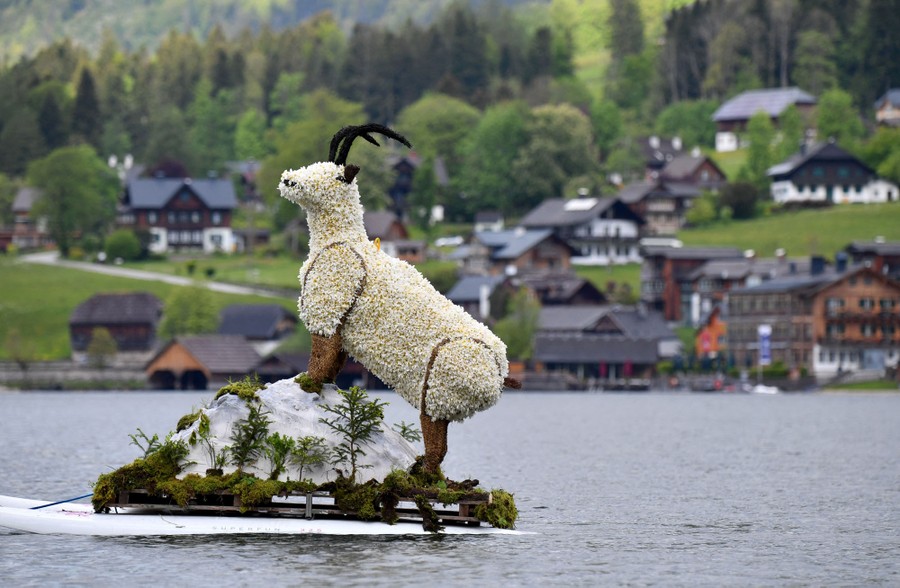 A flower-covered animal figure is towed in a lake.