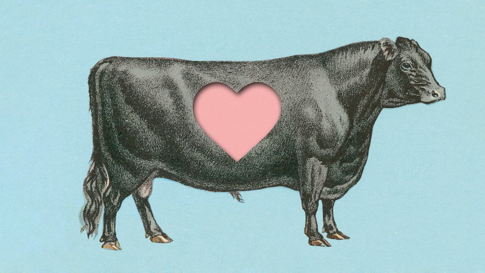 An illustration of a cow with a heart cutout in the middle of its body