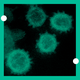 Viruses under a microscope