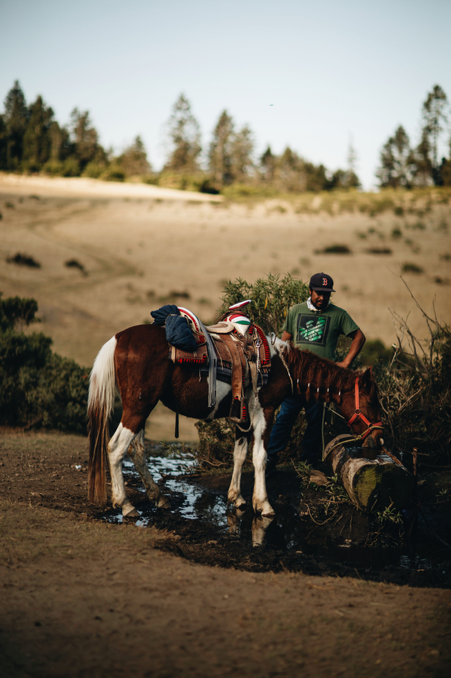 an image of a man in a green shirt standing next to a brown and white horse drinking water