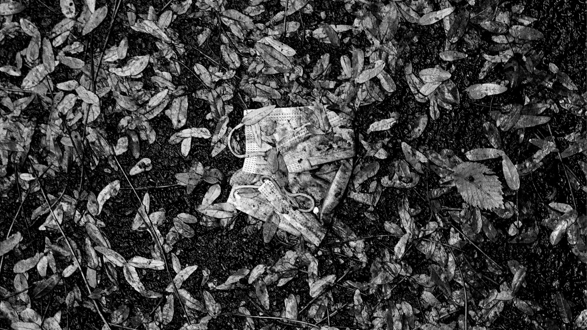 Discarded masks mixed into dirt and leaves on the floor.