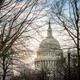 The U.S. Capitol