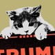 Graphic illustration of a cat hanging onto a Trump sign