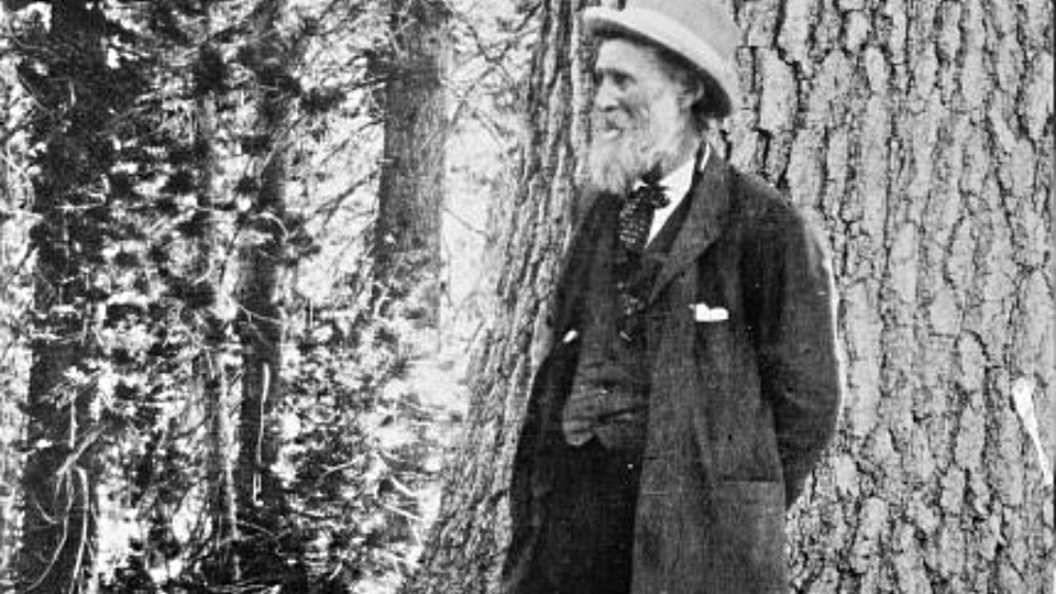 John Muir's 1897 Case for Saving America's Forests - The Atlantic