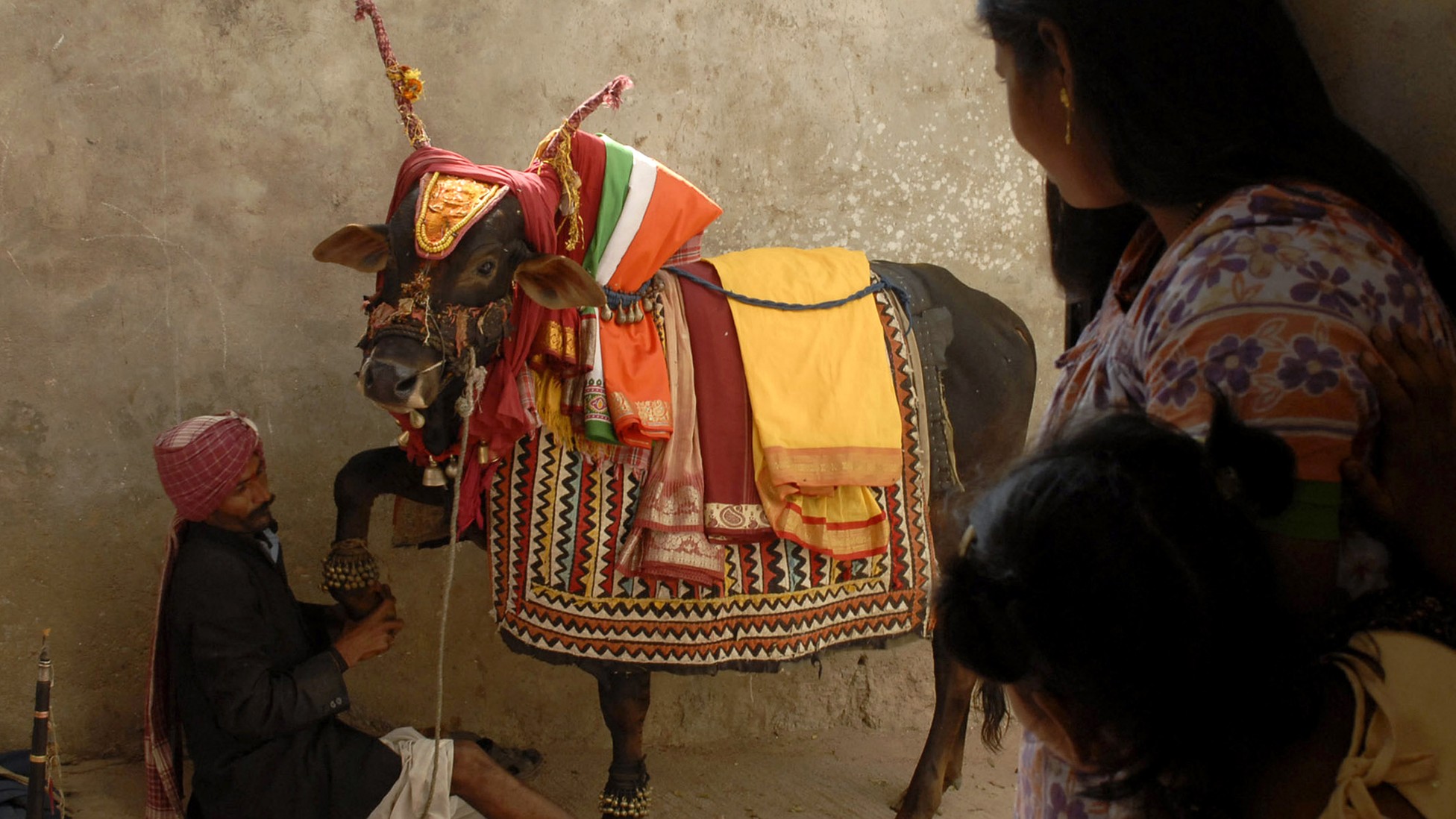 Selling the Sacred Cow India's Contentious Beef Industry The Atlantic